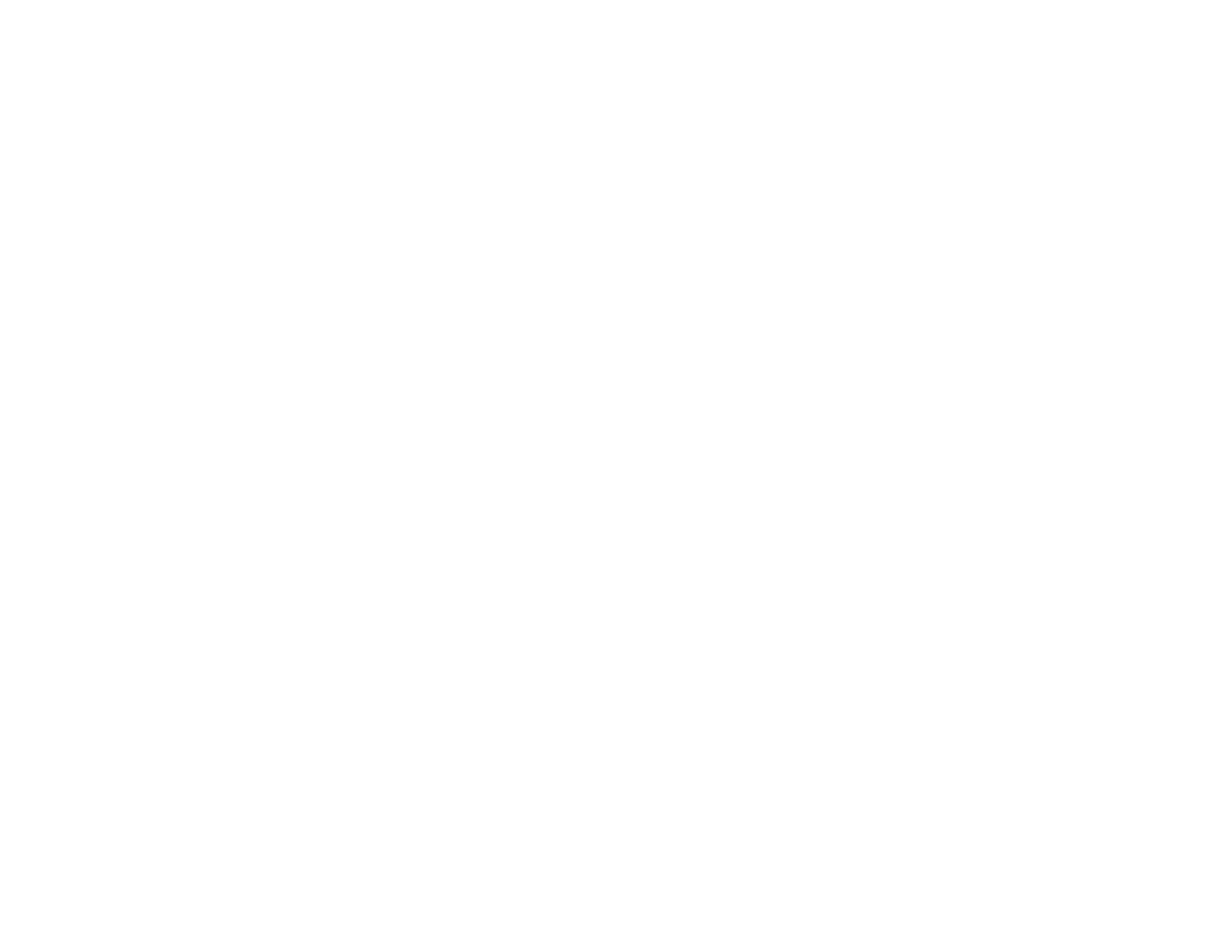 bummer girl logo